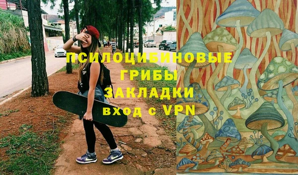 первитин Алексин