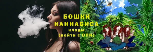прущий лед Семилуки