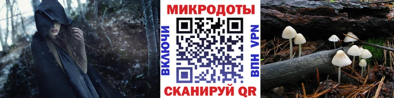 Псилоцибиновые грибы Psilocybine cubensis  Болхов 